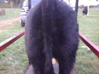 my phone pics 124.jpg