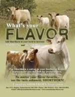 Shorthorn x Charolais ad.jpg