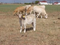 10-18-2010 116.jpg