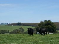 20101005124345.jpg