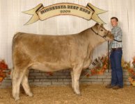 Untitled-1_small[1].jpg