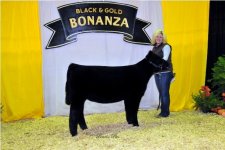 Reserve_Champion_Chi_Female_Day_2_-__Ruble_Show_Cattle_0978 (1).jpg