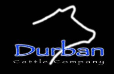 durbanlogosmall.jpg