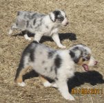 IMG_0478.JPG