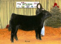 HW Market heiferAGR sm12.10.jpg