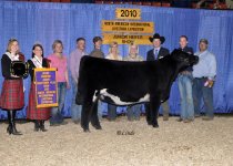 Grand%20Champion%20Junior%20Shorthorn%20Plus%20Heifer.jpg