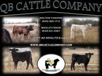QB FLIER SA 2011.jpg
