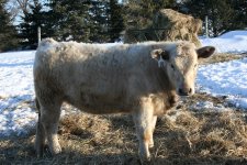 winter 2011 100.JPG