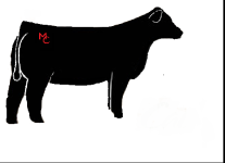 BLACK HEIFER OFFSET STANCE.png