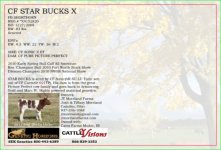 star bucks pc ad back.jpg