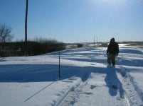 Snow Bank.JPG