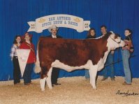 Brett s show heifer 00111.jpg