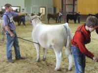 Cameron Prospect Show 094.JPG