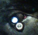 eye2.jpg