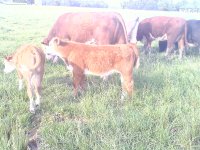 20110529184447.jpg