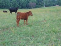 IMG_1505 low res.jpg