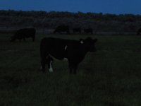 DSCN1527.JPG