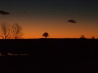 DSC00116.JPG