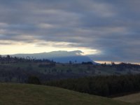 DSC00126.JPG