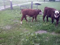 20110626205344.jpg