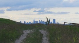 calgary view from the pasture.jpg