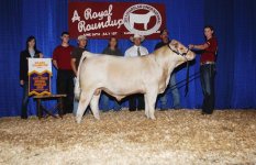 resized 0080 firewater x scr frenchy.jpg