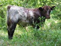 IMG_0047.JPG