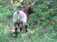 IMG_0062.JPG