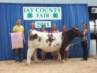 fair 2011 018.JPG