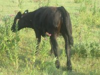 IMG_1097.JPG