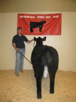 show heifer .jpg