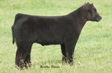 tag 15 carnac x freestyle steer 3.jpg