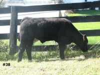 IMG_2730.JPG
