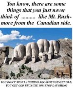 The Canadian view of Mt Rushmore.jpg