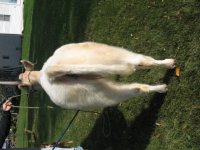 random 037.jpg