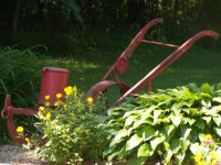 flowers1.JPG