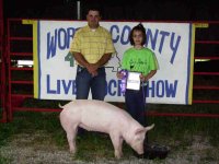 pig showmanship.jpg