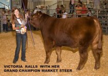 Ralls steer 3 copy.jpg