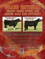 Cow Palace Sale.jpg