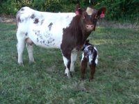 2011babies3.jpg