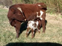 2011babies4.jpg