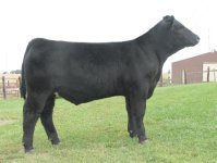 Lot-1---GucciXPointTaken-Steer--IMG_2933.jpg