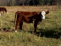 IMG_20111025_160203.jpg