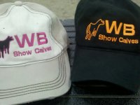 wb show calves.jpg