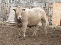 weaning 035.jpg