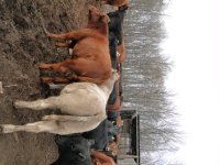 weaning 037.jpg