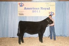Majors Honey Bee 01Y.jpg