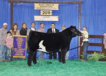 Champion%20Market%20Steer.jpg