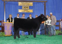 Reserve%20Champion%20Market%20Steer.jpg