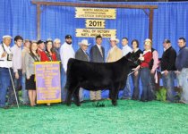 Reserve Champion Open AngusNAILE2011.jpg